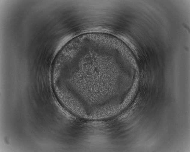 X0000097800998200804041310