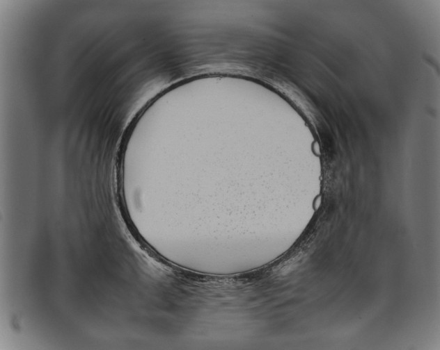 X0000097800999200804041310