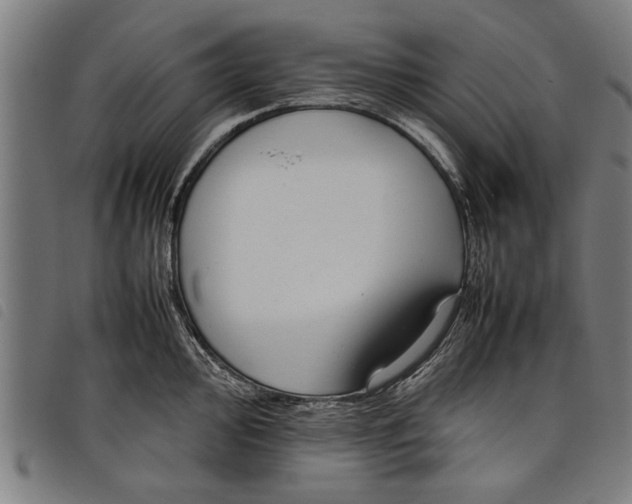 X0000097801000200804041310