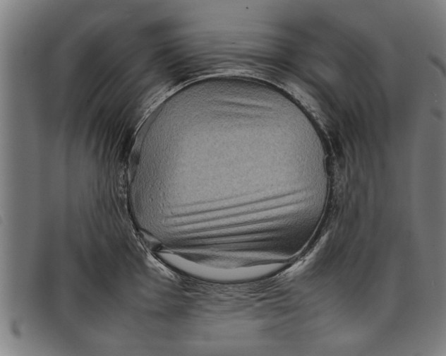 X0000097801001200804041310