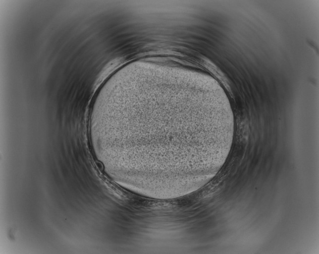 X0000097801002200804041310