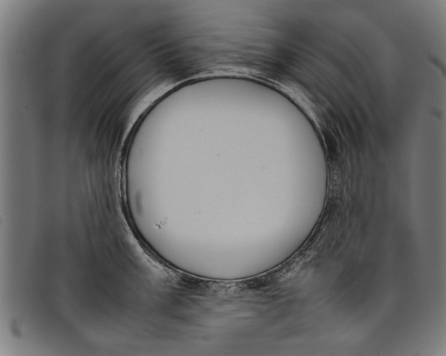 X0000097801003200804041310