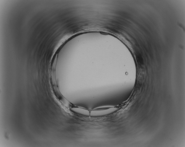 X0000097801005200804041310