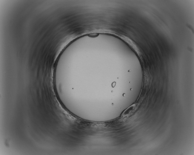 X0000097801006200804041310