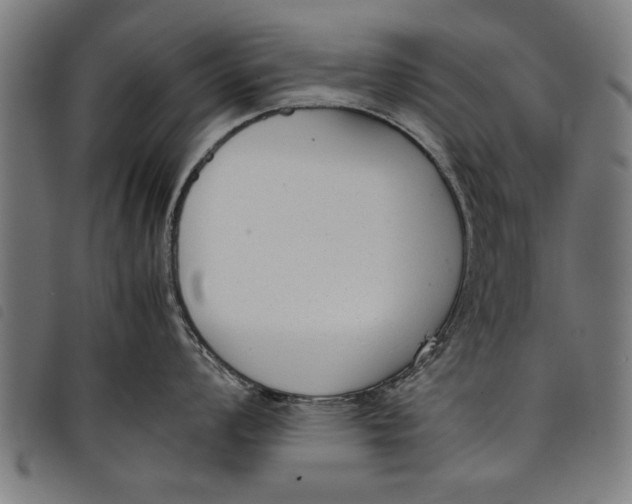 X0000097801008200804041310