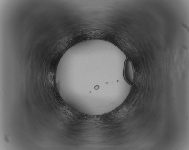 X0000097801010200804041309