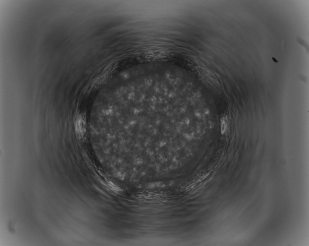 X0000097801011200804041309