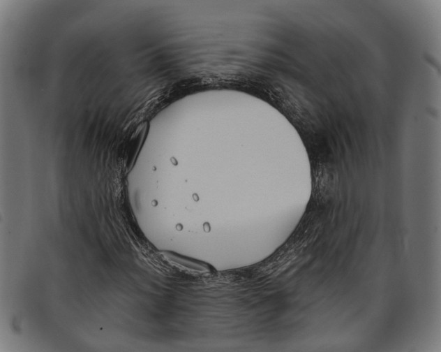 X0000097801012200804041309