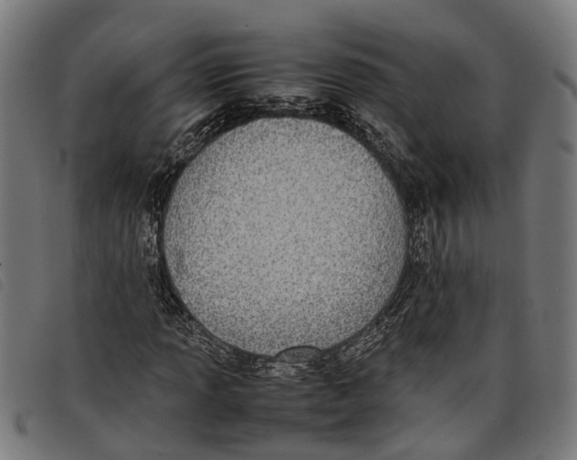 X0000097801013200804041309