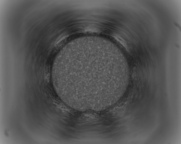 X0000097801015200804041309