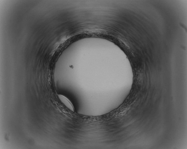 X0000097801016200804041309