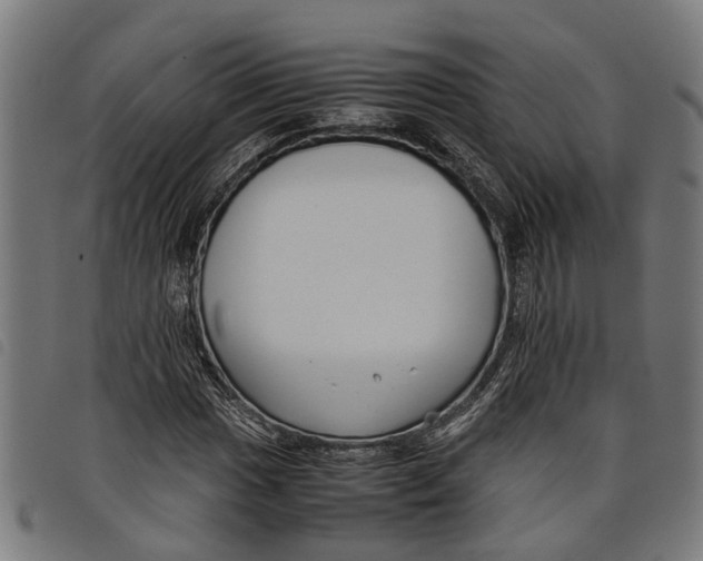 X0000097801017200804041309