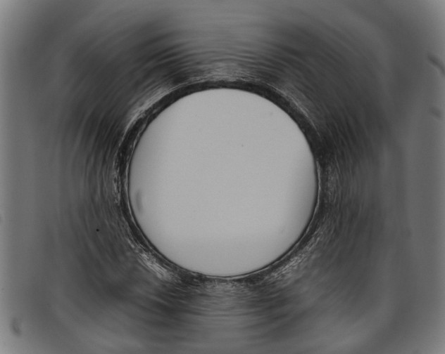 X0000097801018200804041309