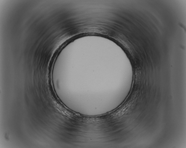 X0000097801020200804041309