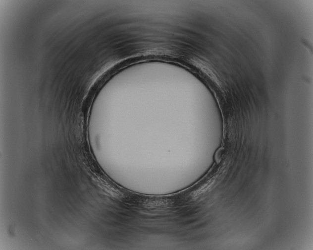 X0000097801021200804041309