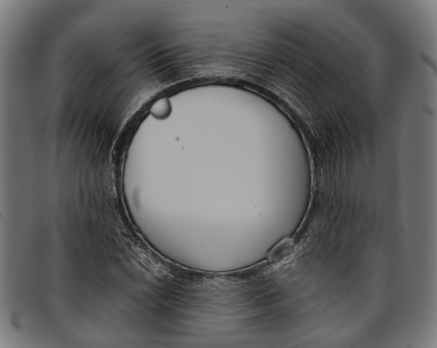 X0000097801022200804041309