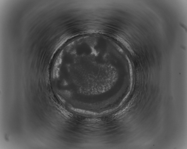 X0000097801023200804041309