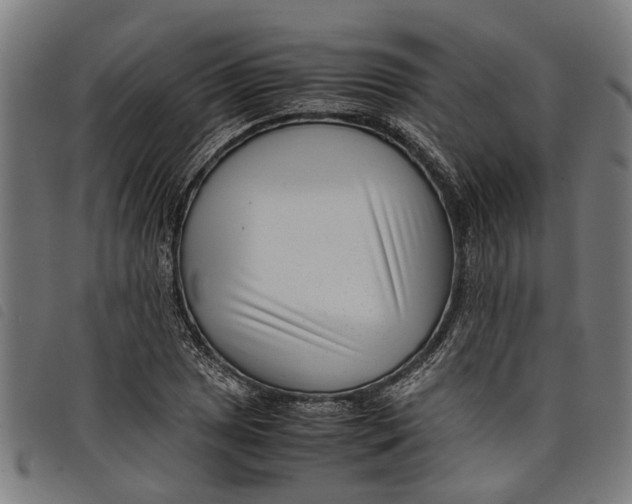 X0000097801025200804041310