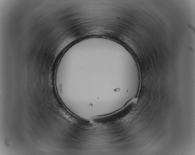 X0000097801026200804041310