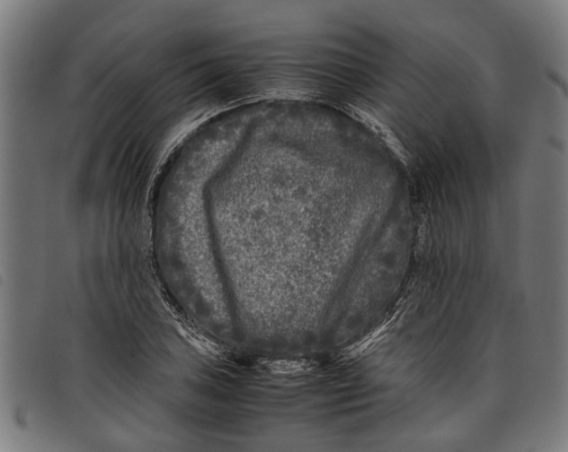 X0000097801027200804041310