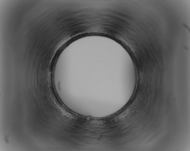 X0000097801029200804041310