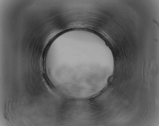 X0000097801030200804041310