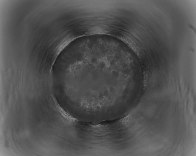 X0000097801031200804041310