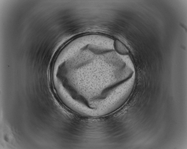 X0000097801032200804041310