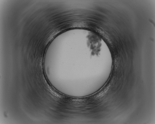 X0000097801033200804041310