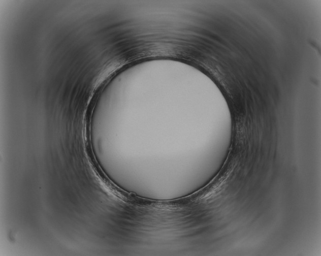 X0000097801034200804041310