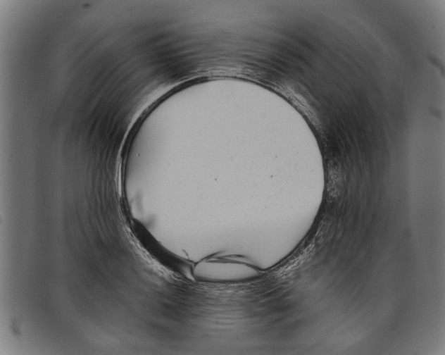 X0000097801036200804041310