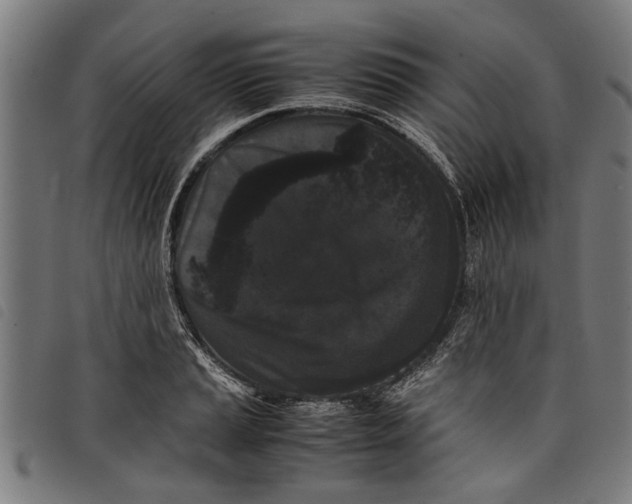 X0000097801037200804041310