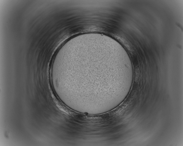 X0000097801039200804041310