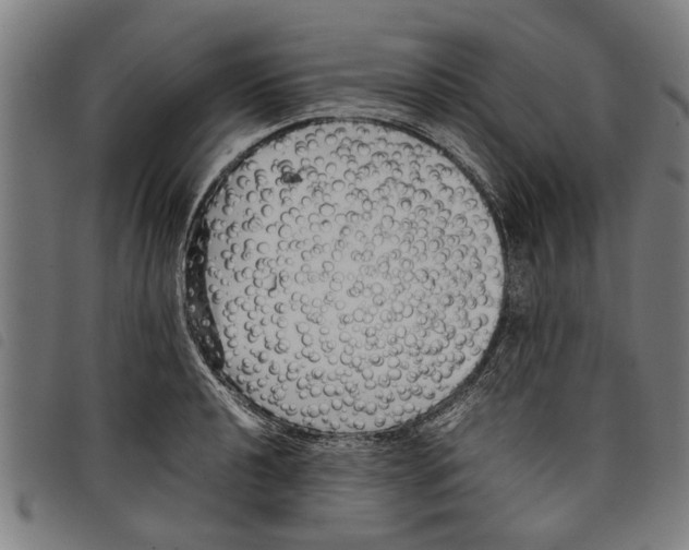 X0000097801040200804041310