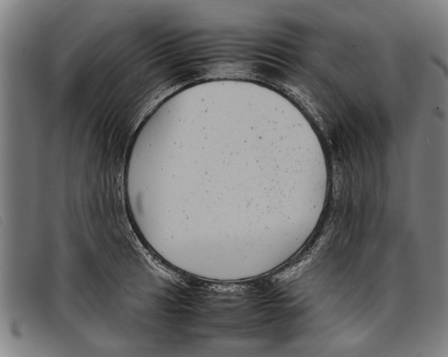 X0000097801041200804041310