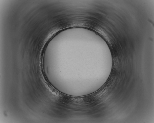 X0000097801043200804041310