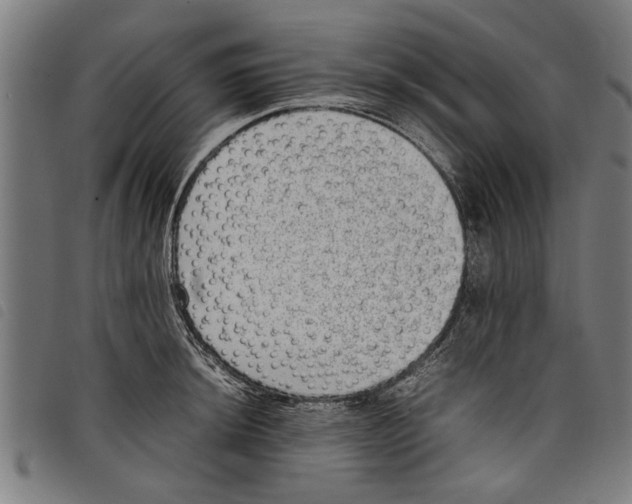 X0000097801044200804041310