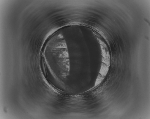 X0000097801045200804041310