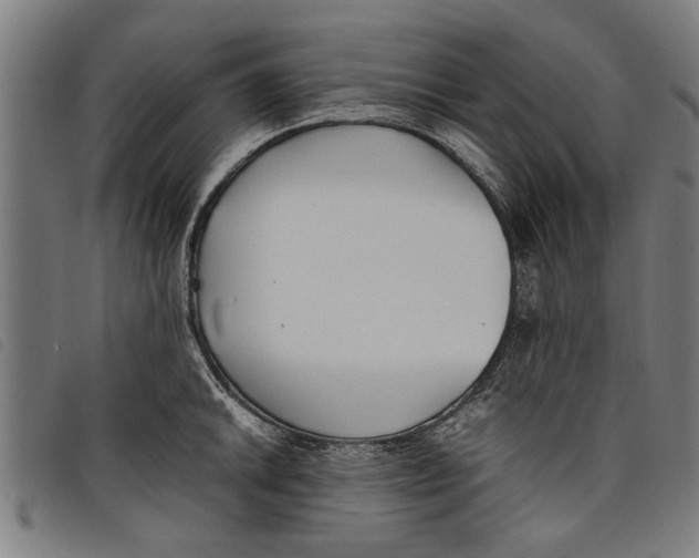 X0000097801046200804041310