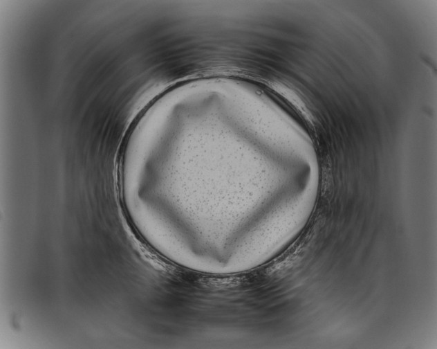 X0000097801047200804041310