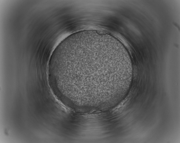 X0000097801048200804041310