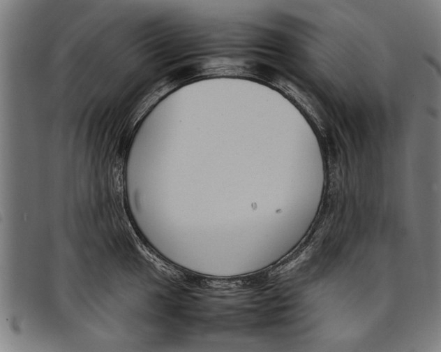 X0000097801049200804041310