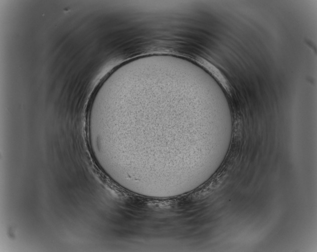 X0000097801051200804041310