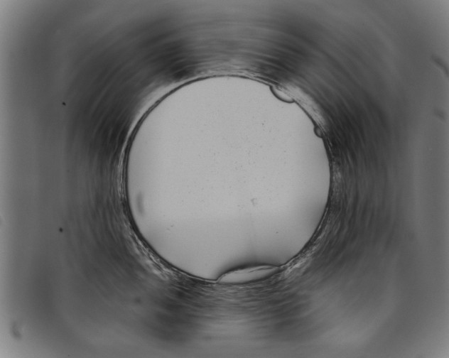 X0000097801052200804041310