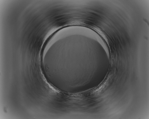 X0000097801053200804041310