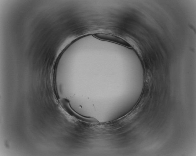 X0000097801054200804041310