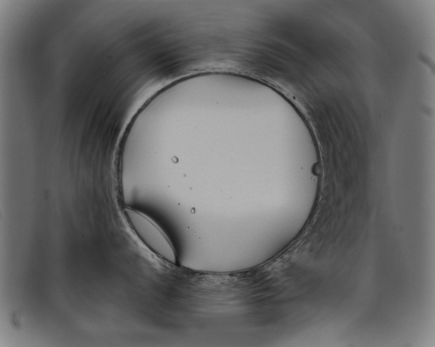 X0000097801056200804041310