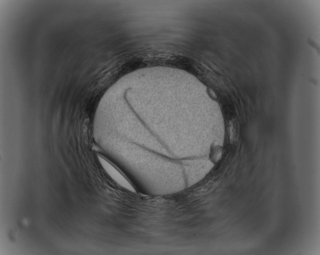 X0000097801059200804041309