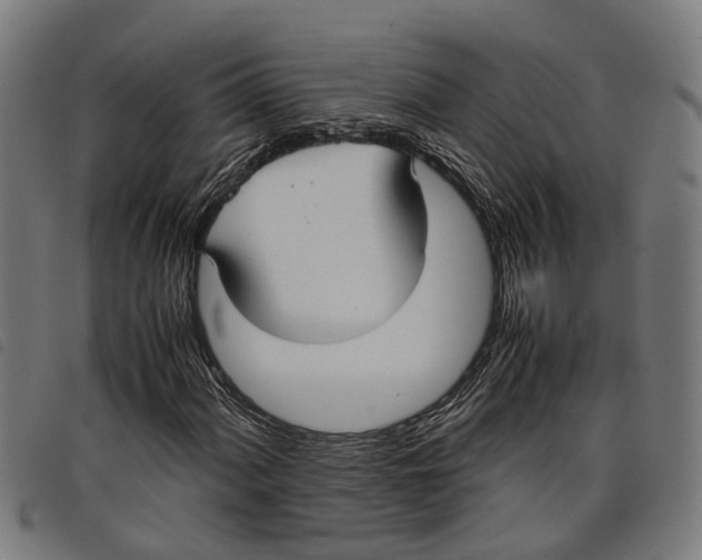 X0000097801060200804041309