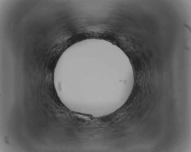 X0000097801061200804041309